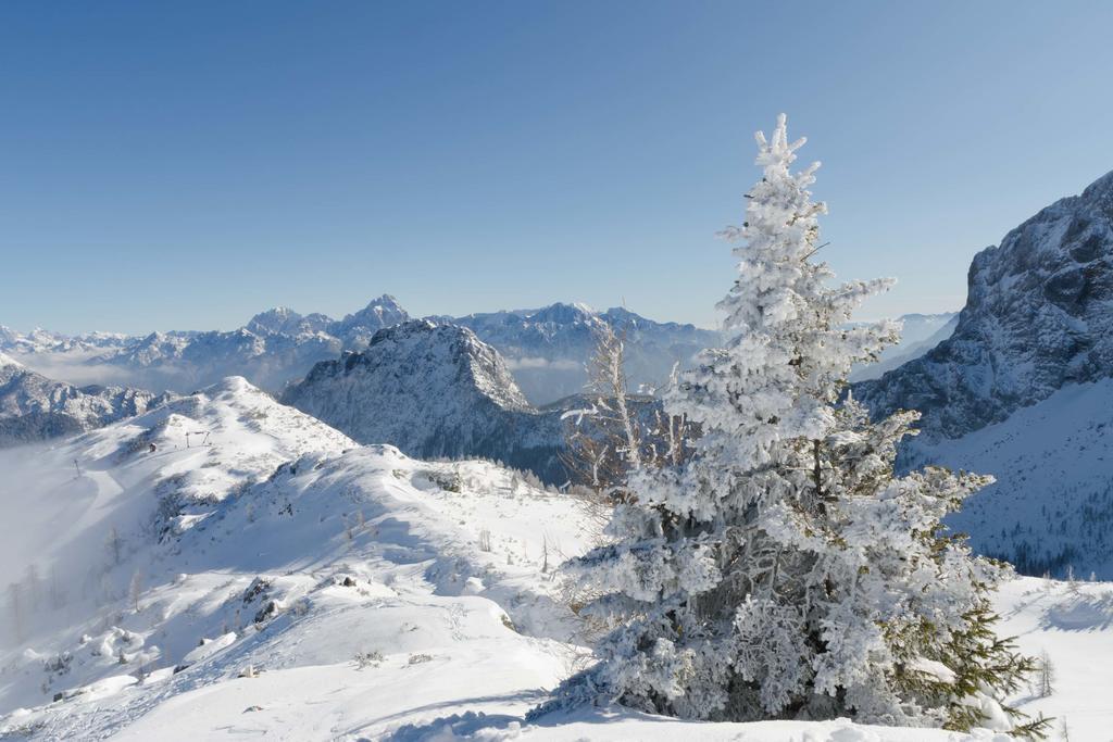 Schoenauerhof Schlanitzen Exteriör bild