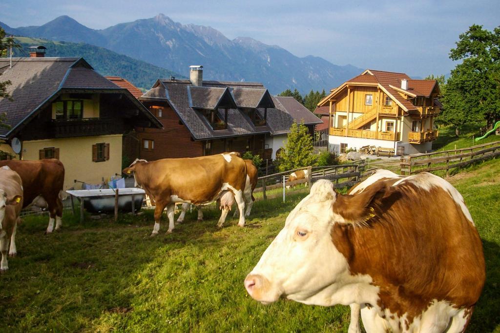 Schoenauerhof Schlanitzen Exteriör bild
